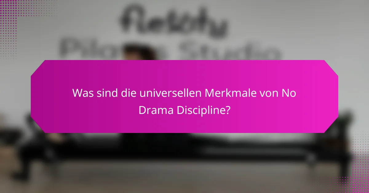 Was sind die universellen Merkmale von No Drama Discipline?