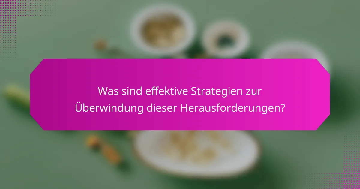 Was sind effektive Strategien zur Überwindung dieser Herausforderungen?