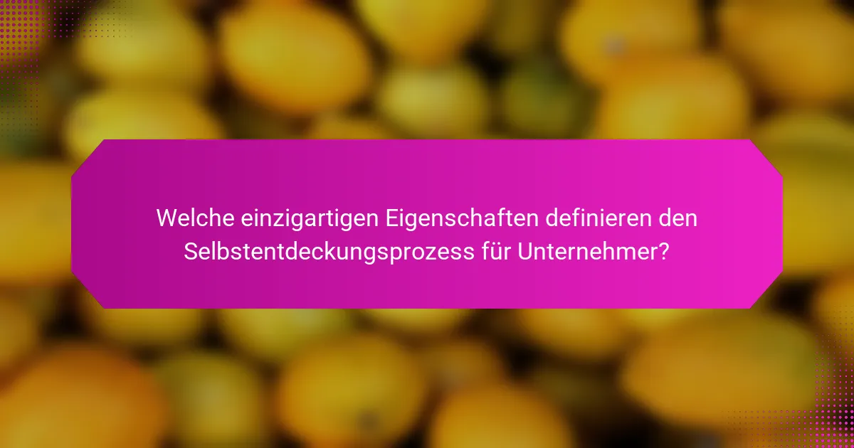 Welche einzigartigen Eigenschaften definieren den Selbstentdeckungsprozess für Unternehmer?