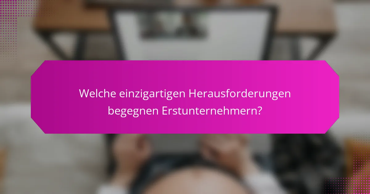 Welche einzigartigen Herausforderungen begegnen Erstunternehmern?