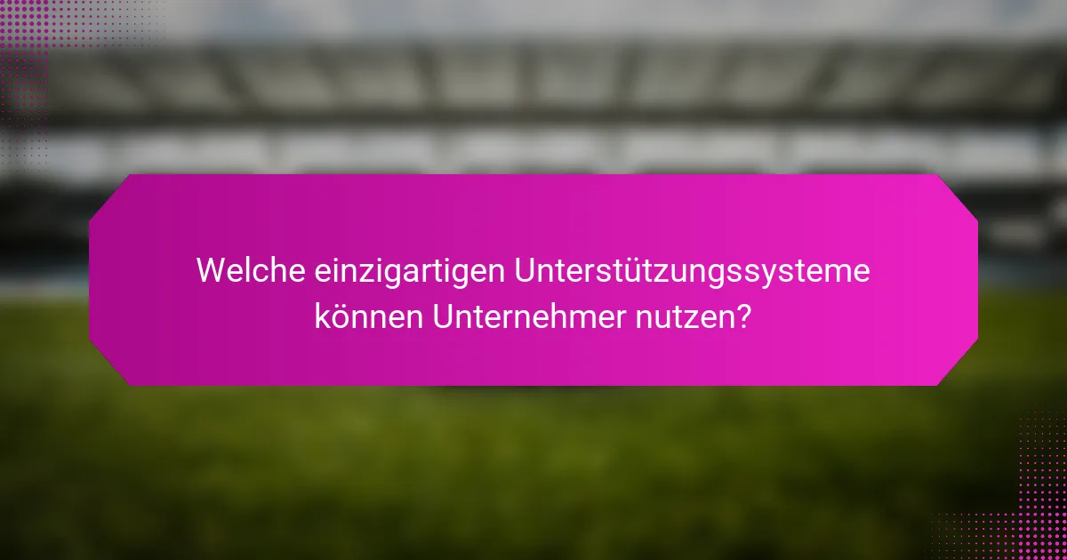 Welche einzigartigen Unterstützungssysteme können Unternehmer nutzen?