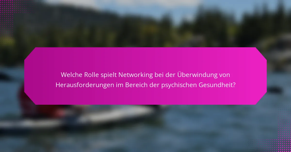 Welche Rolle spielt Networking bei der Überwindung von Herausforderungen im Bereich der psychischen Gesundheit?