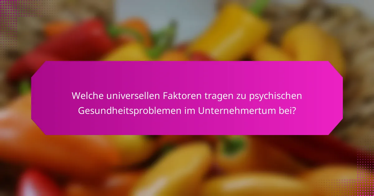 Welche universellen Faktoren tragen zu psychischen Gesundheitsproblemen im Unternehmertum bei?