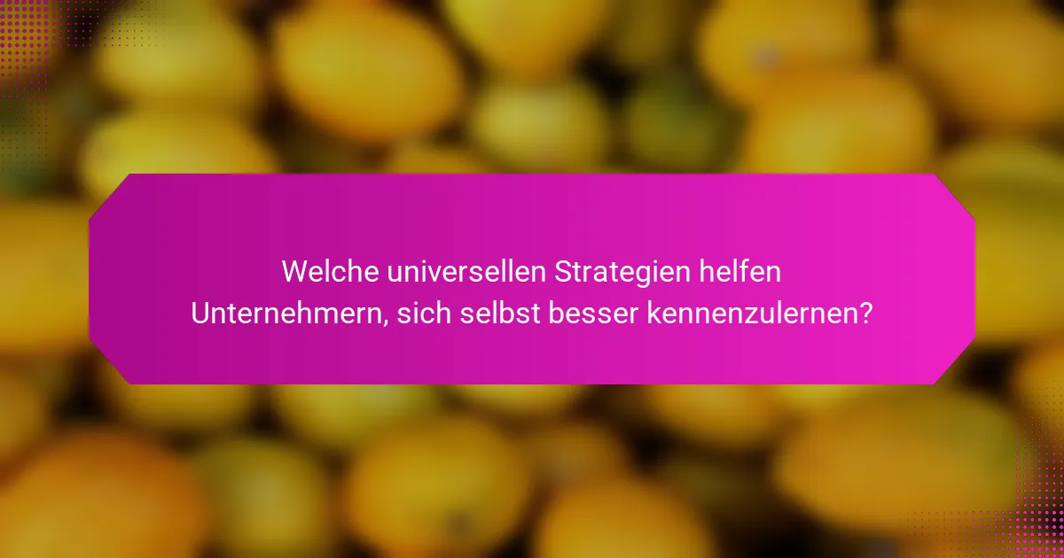 Welche universellen Strategien helfen Unternehmern, sich selbst besser kennenzulernen?