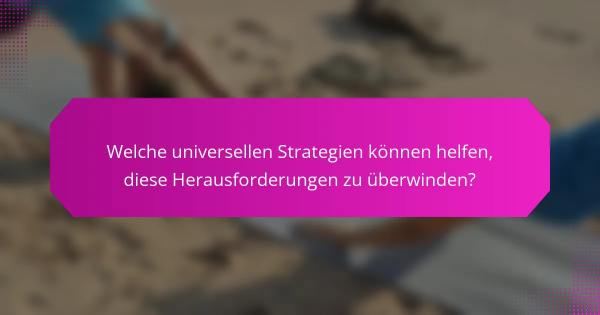 Welche universellen Strategien können helfen, diese Herausforderungen zu überwinden?