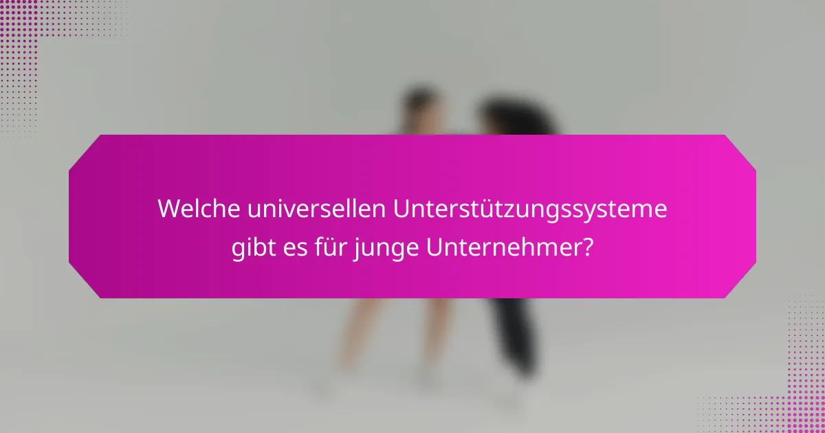 Welche universellen Unterstützungssysteme gibt es für junge Unternehmer?